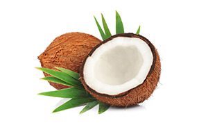 huile végétale bio coco